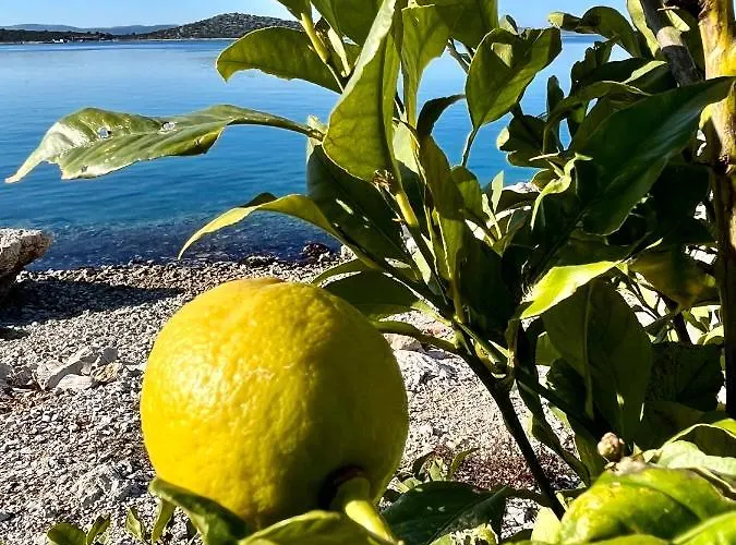 빌라 Robinson House Vitane