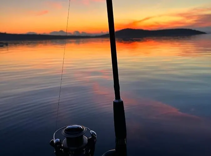 Robinson House Vitane * 트콘