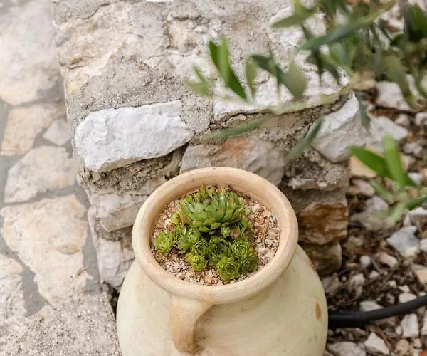 Robinson House Vitane Villa