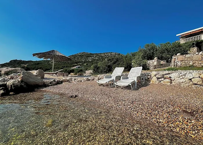 Robinson House Vitane