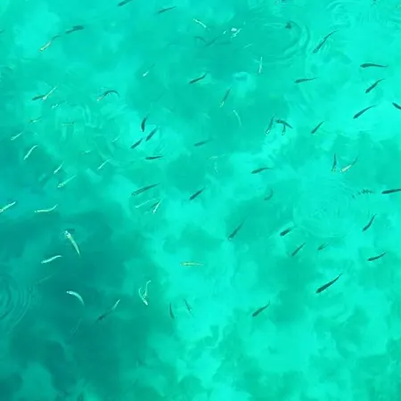 Villa Robinson House Vitane Tkon