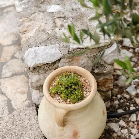 Robinson House Vitane Villa