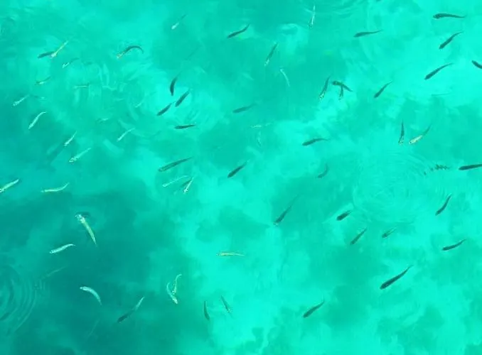 Βίλα Robinson House Vitane Tkon