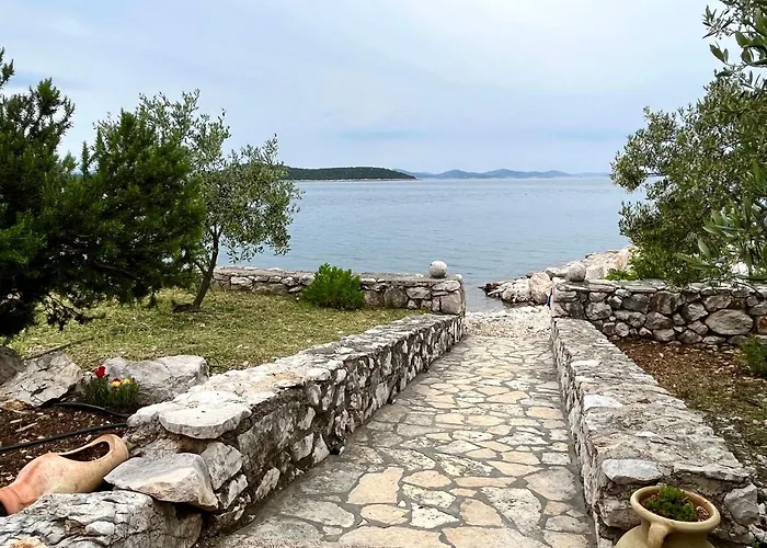 Robinson House Vitane *